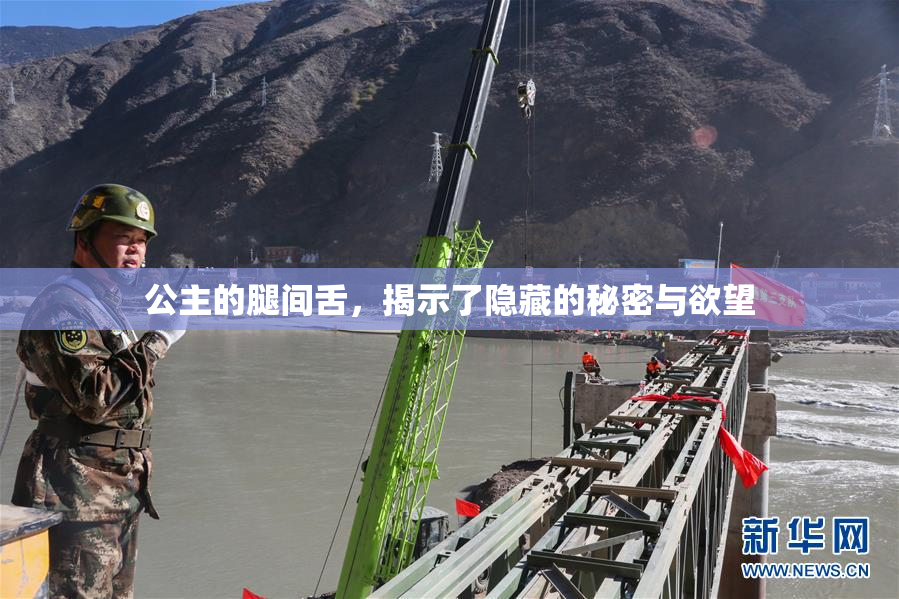 公主的腿间舌，揭示了隐藏的秘密与欲望