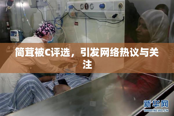 简茸被C评选，引发网络热议与关注