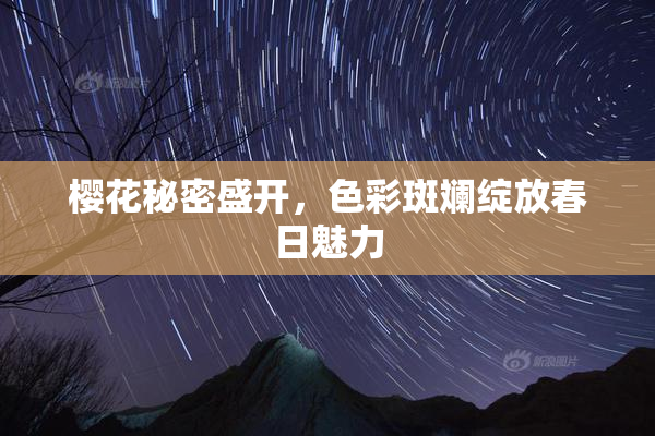 樱花秘密盛开，色彩斑斓绽放春日魅力