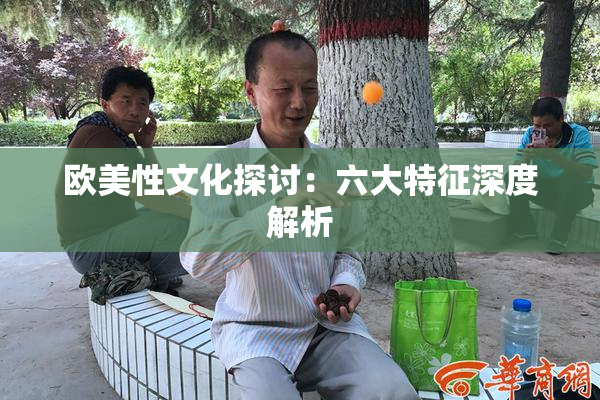 欧美性文化探讨：六大特征深度解析