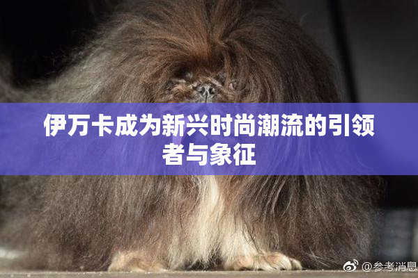 伊万卡成为新兴时尚潮流的引领者与象征