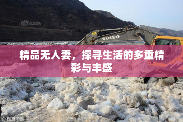 精品无人妻，探寻生活的多重精彩与丰盛