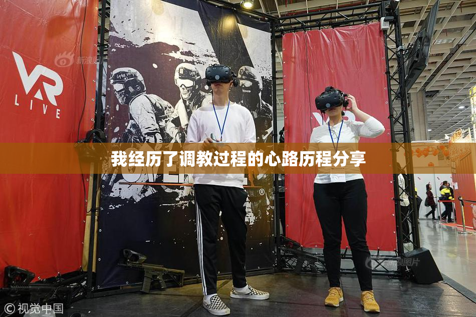 我经历了调教过程的心路历程分享