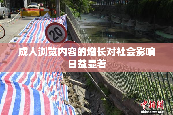 成人浏览内容的增长对社会影响日益显著