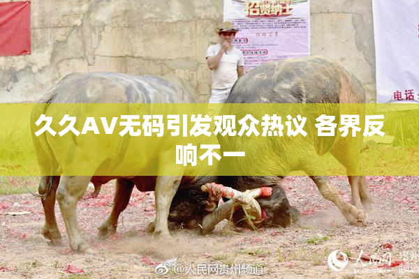 久久AV无码引发观众热议 各界反响不一