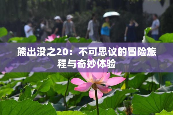 熊出没之20：不可思议的冒险旅程与奇妙体验