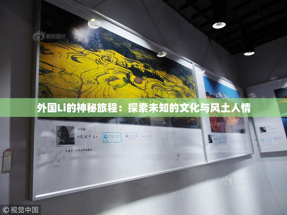外国Li的神秘旅程：探索未知的文化与风土人情