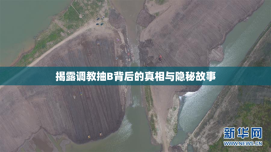 揭露调教抽B背后的真相与隐秘故事