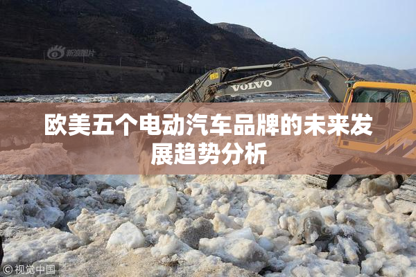 欧美五个电动汽车品牌的未来发展趋势分析