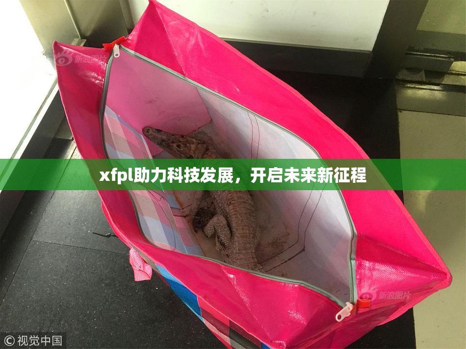 xfpl助力科技发展，开启未来新征程