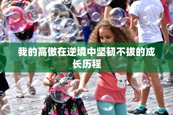 我的高傲在逆境中坚韧不拔的成长历程