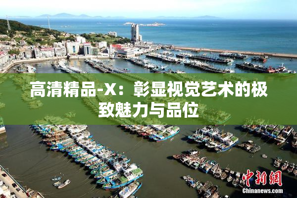 高清精品-X：彰显视觉艺术的极致魅力与品位