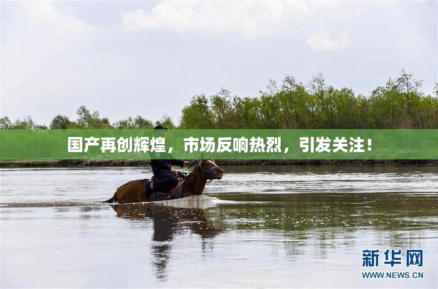 国产再创辉煌，市场反响热烈，引发关注！