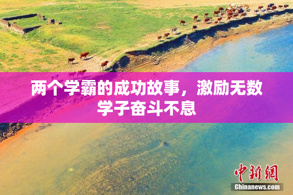 两个学霸的成功故事，激励无数学子奋斗不息