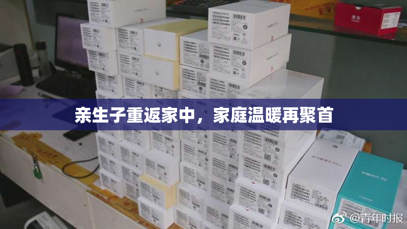 亲生子重返家中，家庭温暖再聚首