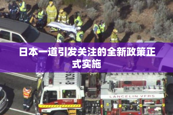 日本一道引发关注的全新政策正式实施