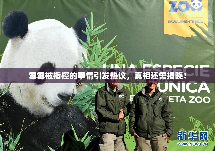 霉霉被指控的事情引发热议，真相还需揭晓！