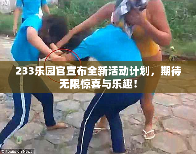 233乐园官宣布全新活动计划，期待无限惊喜与乐趣！