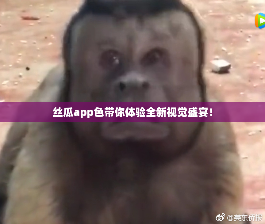 丝瓜app色带你体验全新视觉盛宴！