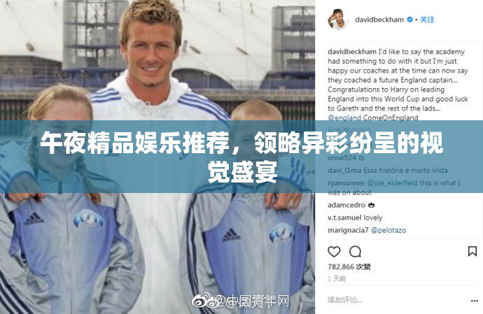 午夜精品娱乐推荐，领略异彩纷呈的视觉盛宴