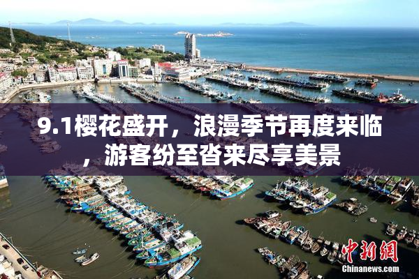 9.1樱花盛开，浪漫季节再度来临，游客纷至沓来尽享美景