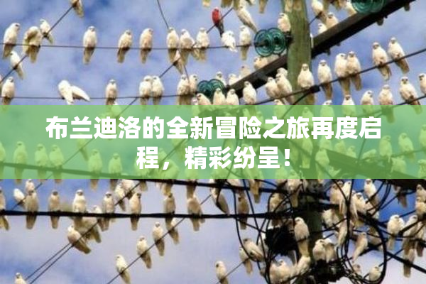 布兰迪洛的全新冒险之旅再度启程，精彩纷呈！