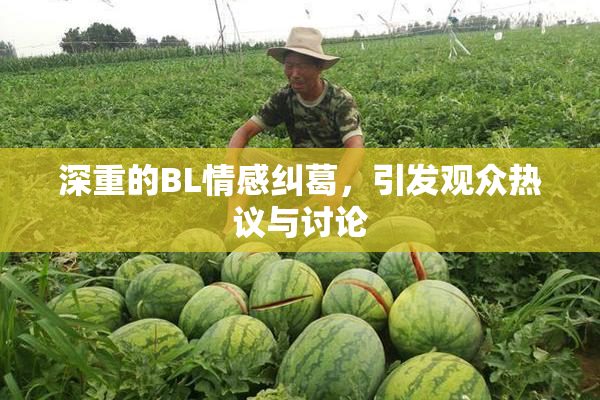 深重的BL情感纠葛，引发观众热议与讨论