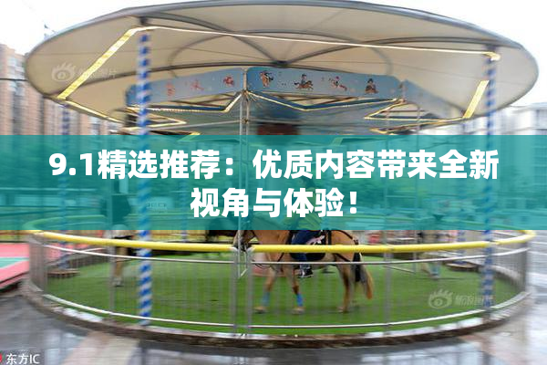 9.1精选推荐：优质内容带来全新视角与体验！
