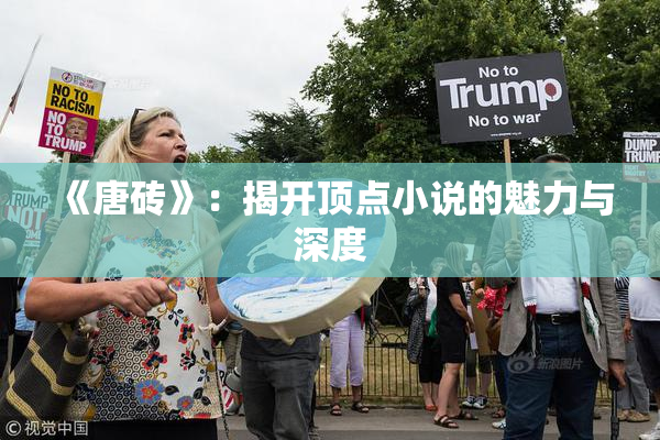 《唐砖》：揭开顶点小说的魅力与深度