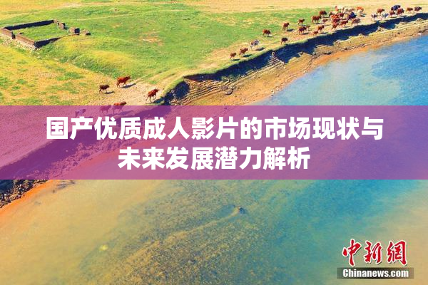 国产优质成人影片的市场现状与未来发展潜力解析