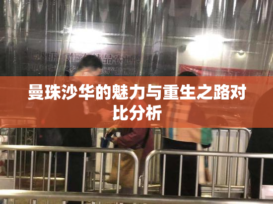 曼珠沙华的魅力与重生之路对比分析