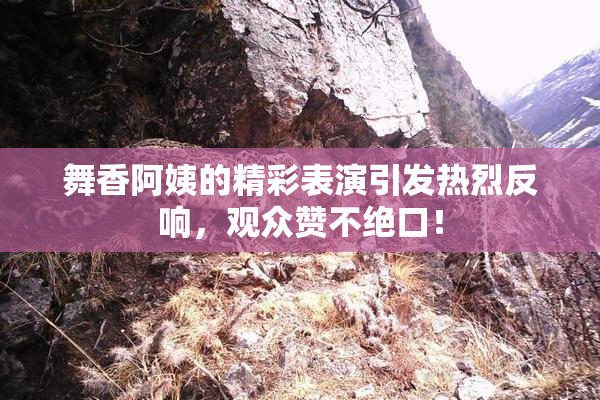 舞香阿姨的精彩表演引发热烈反响，观众赞不绝口！