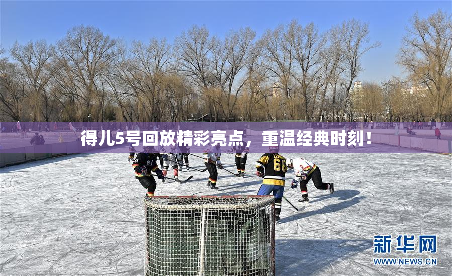 得儿5号回放精彩亮点，重温经典时刻！