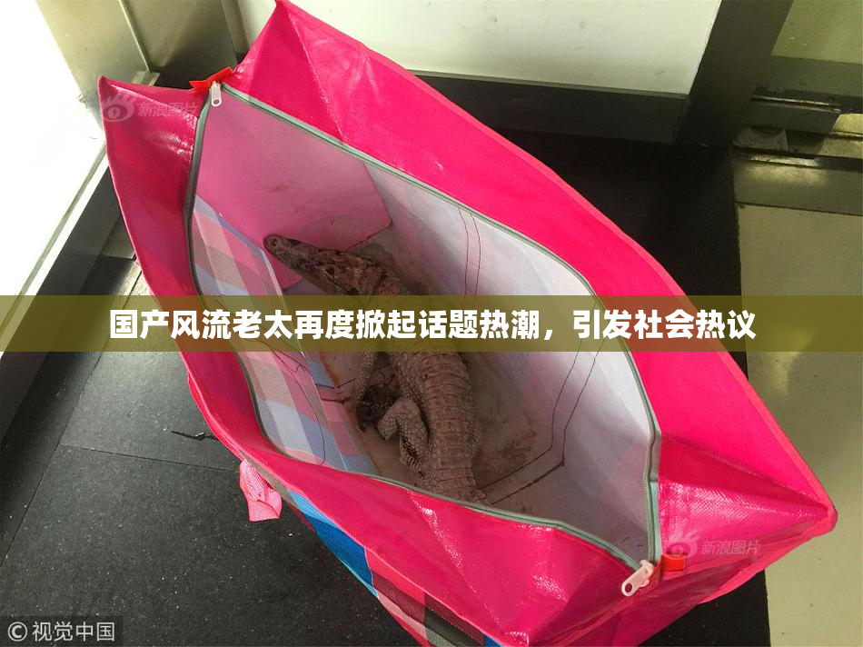 国产风流老太再度掀起话题热潮，引发社会热议