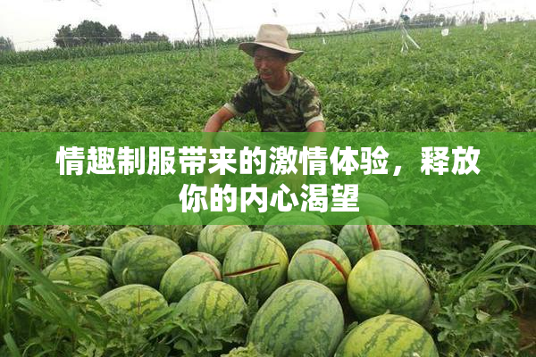 情趣制服带来的激情体验，释放你的内心渴望
