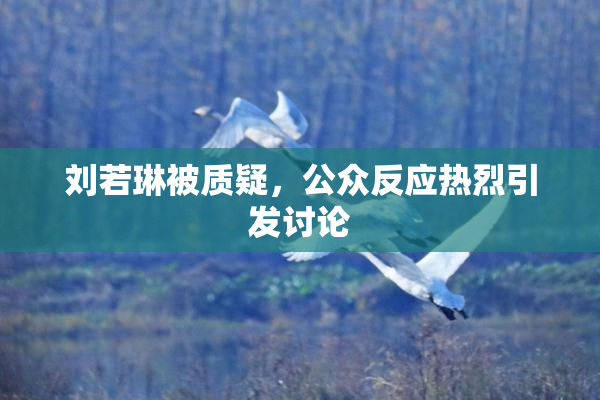 刘若琳被质疑，公众反应热烈引发讨论