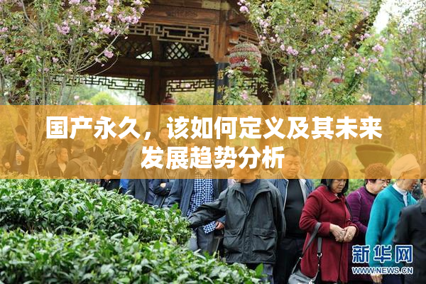 国产永久，该如何定义及其未来发展趋势分析
