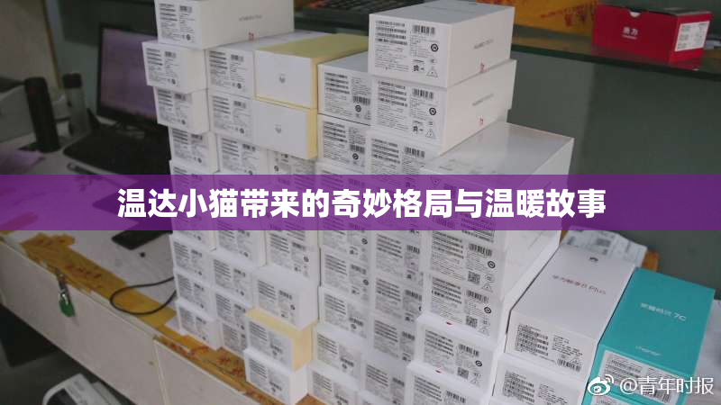 温达小猫带来的奇妙格局与温暖故事
