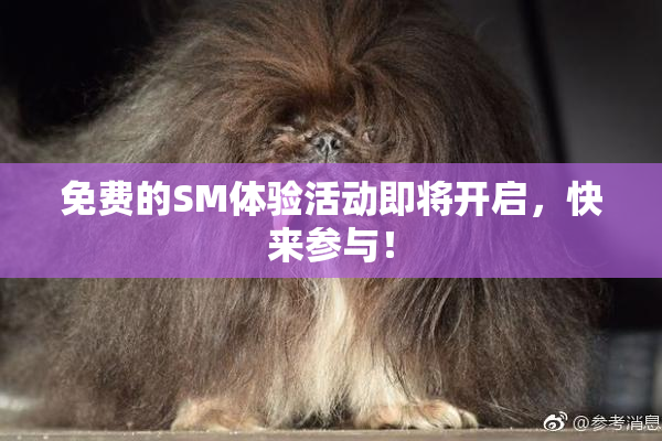 免费的SM体验活动即将开启，快来参与！