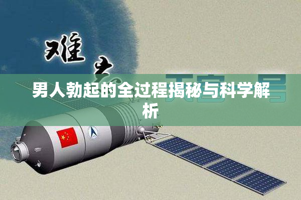 男人勃起的全过程揭秘与科学解析