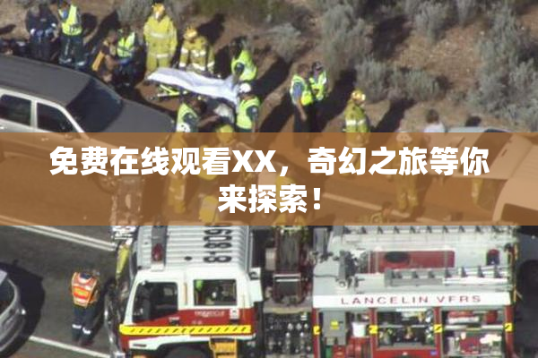 免费在线观看XX，奇幻之旅等你来探索！