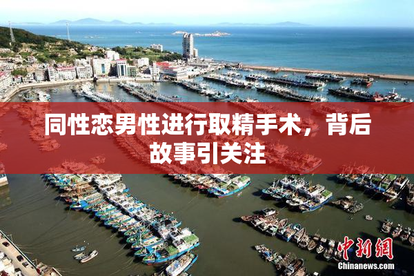 同性恋男性进行取精手术，背后故事引关注