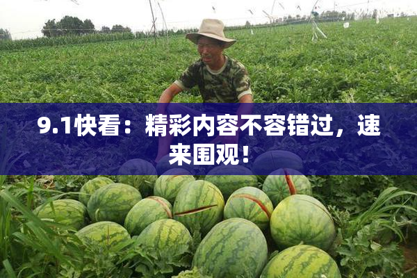 9.1快看：精彩内容不容错过，速来围观！