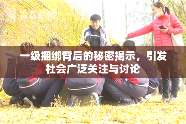 一级捆绑背后的秘密揭示，引发社会广泛关注与讨论