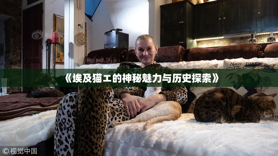 《埃及猫エ的神秘魅力与历史探索》