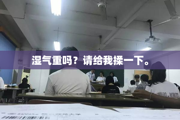 湿气重吗？请给我揉一下。