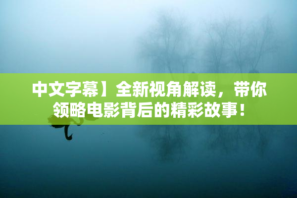 中文字幕】全新视角解读，带你领略电影背后的精彩故事！