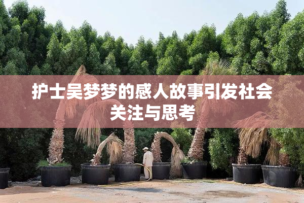 护士吴梦梦的感人故事引发社会关注与思考