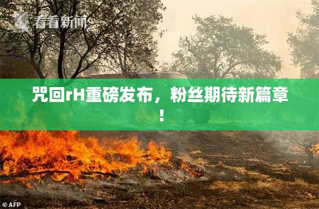 咒回rH重磅发布，粉丝期待新篇章！