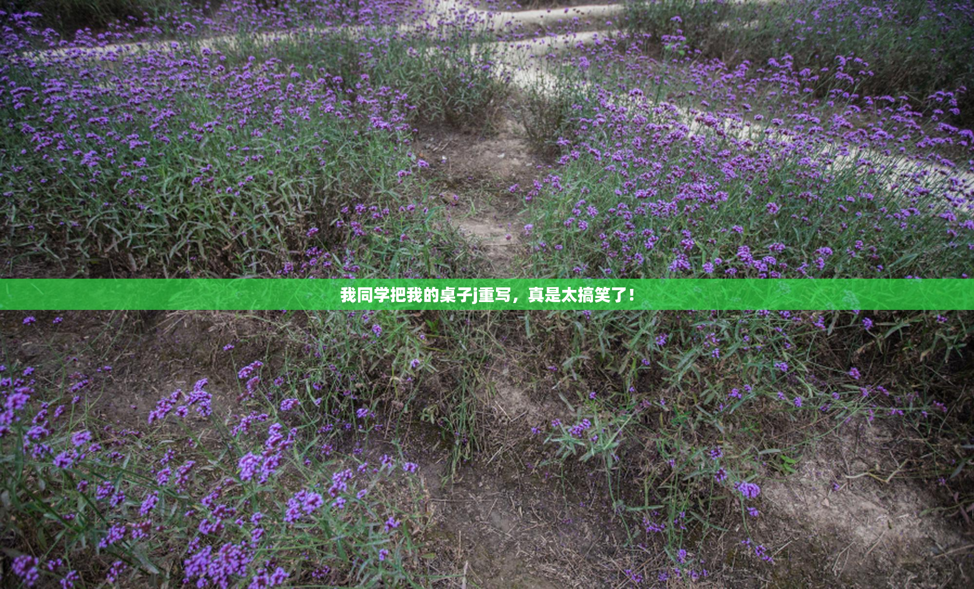我同学把我的桌子j重写，真是太搞笑了！